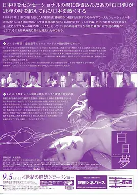 你是我的荣耀